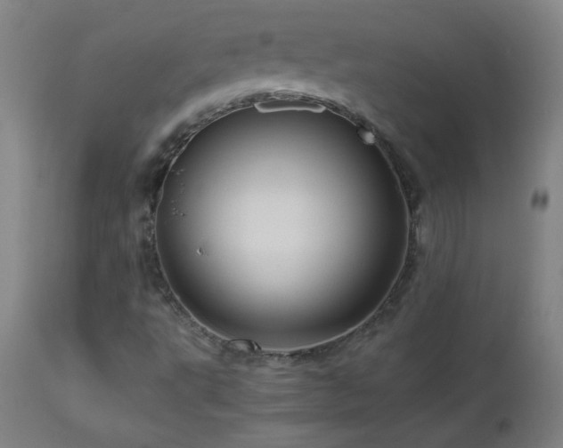 X0000112971495200908271129