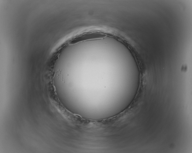 X0000112971496200908271129