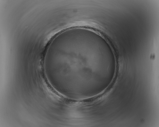 X0000112971497200908271129