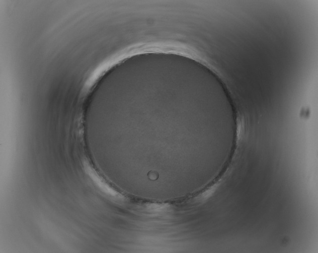 X0000112971498200908271129