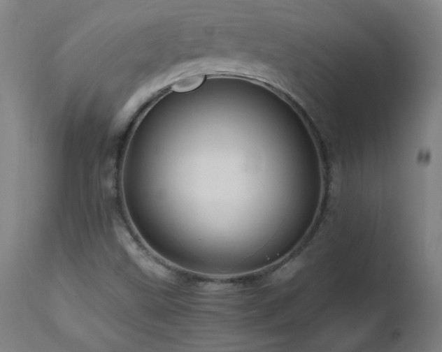X0000112971499200908271129