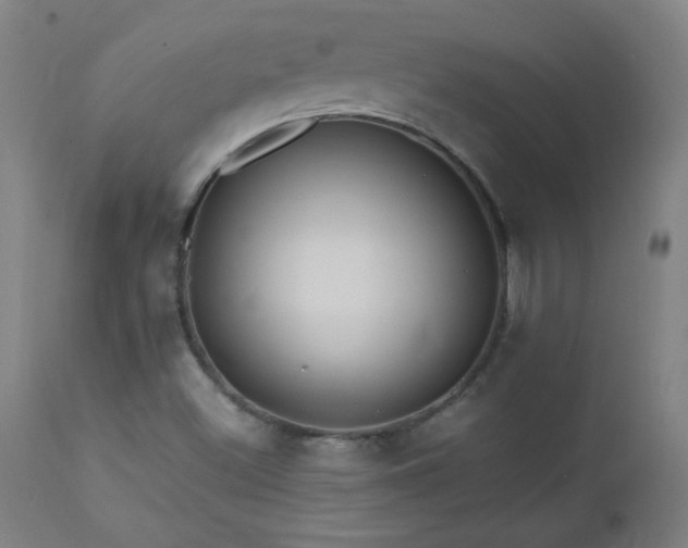 X0000112971500200908271129