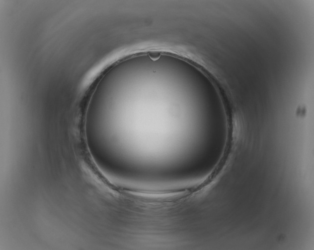 X0000112971502200908271129