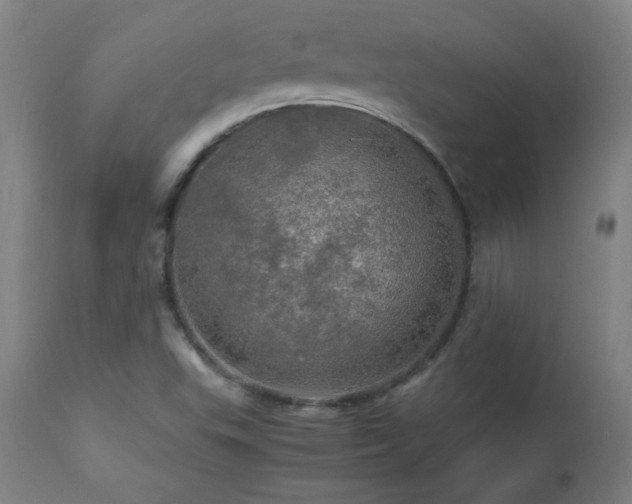 X0000112971503200908271129