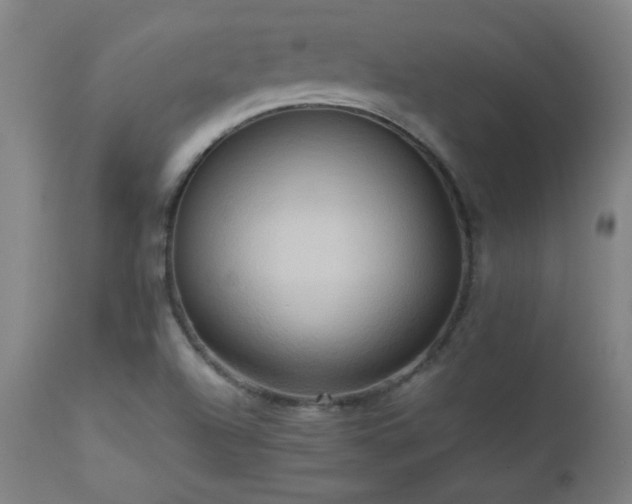 X0000112971504200908271129