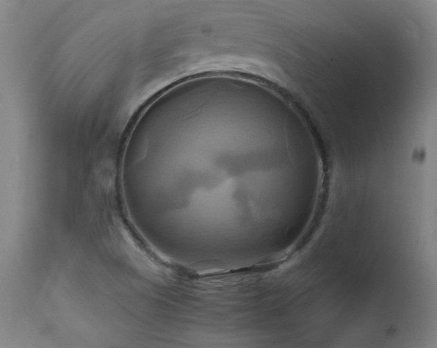 X0000112971505200908271129
