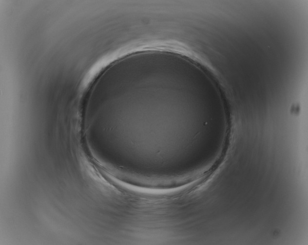 X0000112971506200908271129
