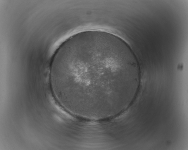 X0000112971507200908271129