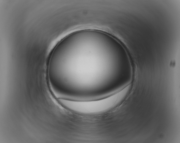 X0000112971508200908271129