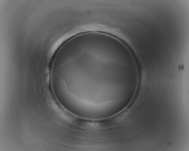X0000112971509200908271129