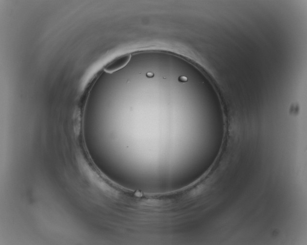 X0000112971510200908271129