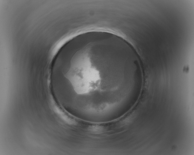 X0000112971511200908271129
