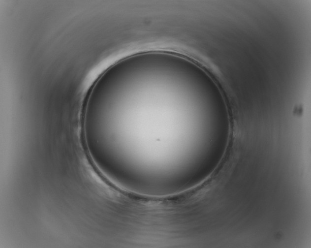 X0000112971512200908271129
