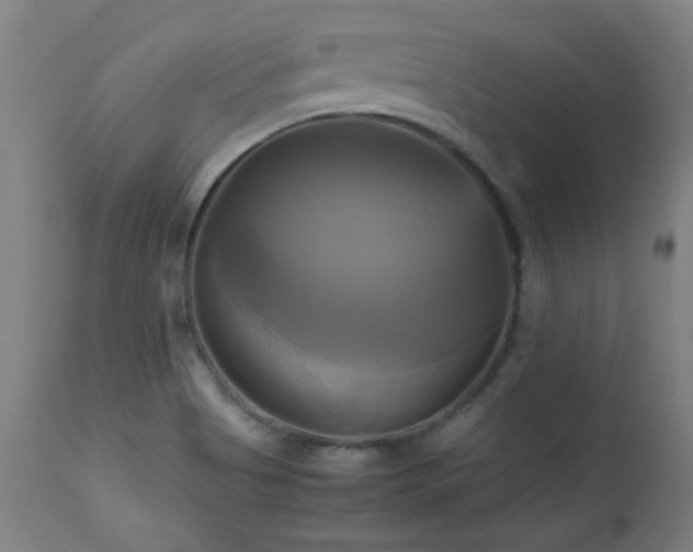 X0000112971513200908271129