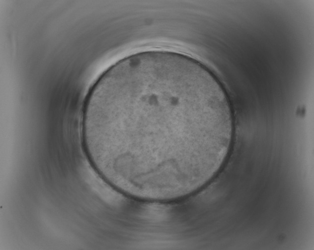 X0000112971514200908271129
