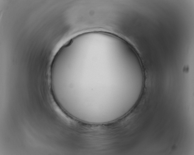 X0000112971516200908271129
