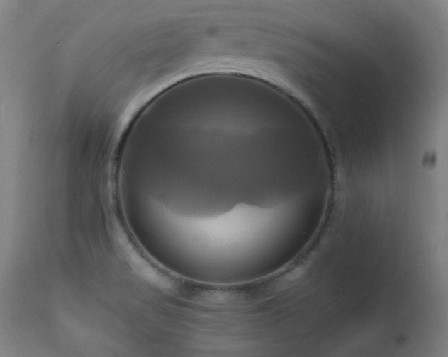 X0000112971517200908271129