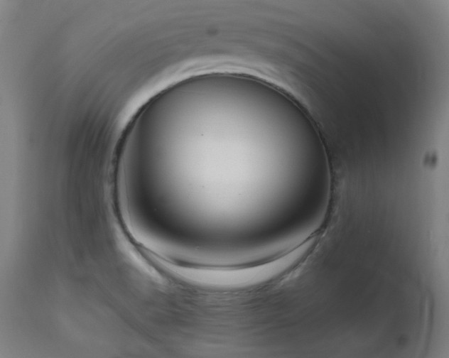 X0000112971518200908271129