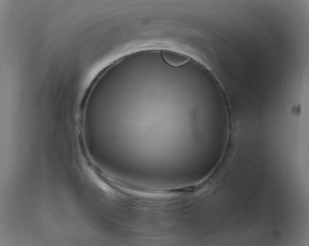 X0000112971519200908271129