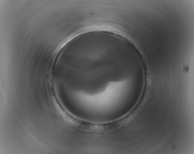 X0000112971521200908271129