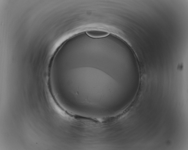 X0000112971523200908271129