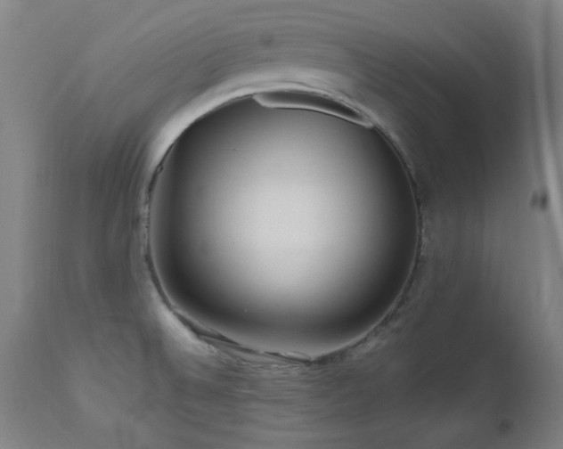 X0000112971524200908271129