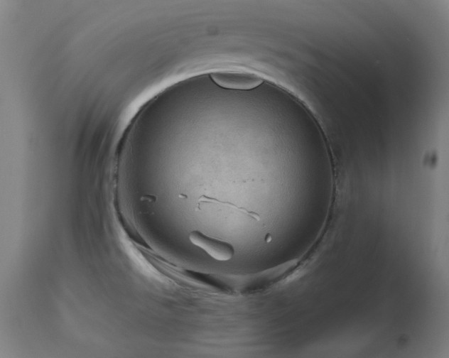 X0000112971526200908271129