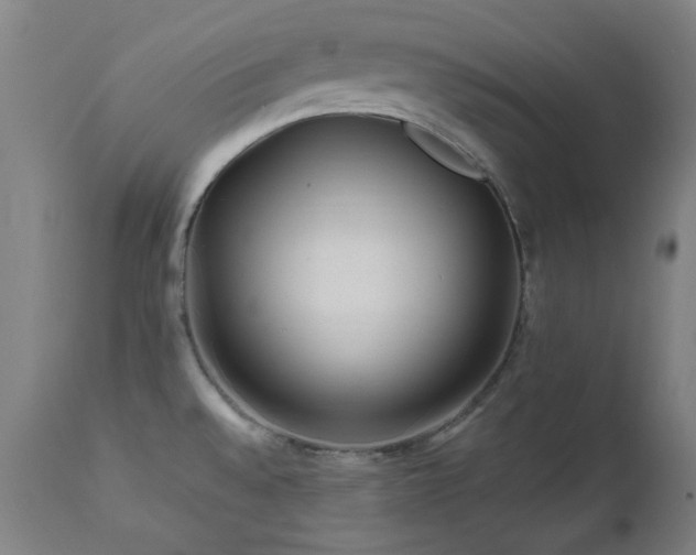 X0000112971528200908271129