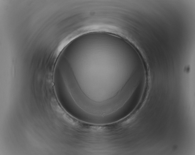 X0000112971529200908271129