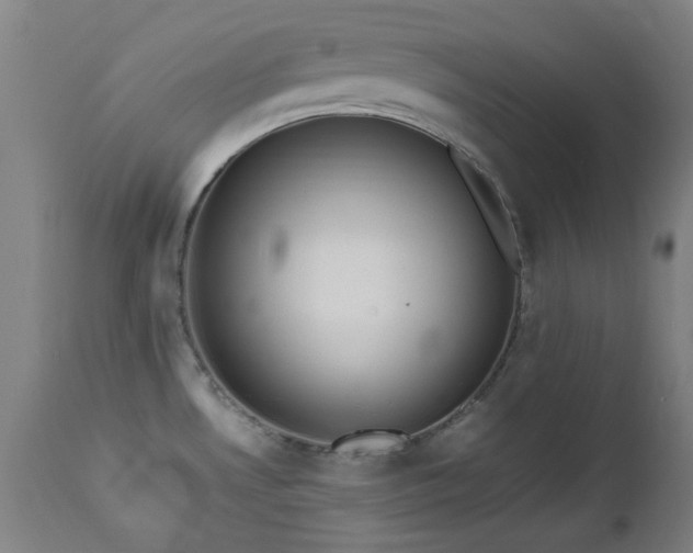 X0000112971530200908271129