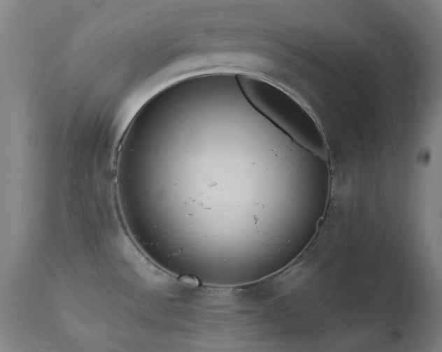 X0000112971532200908271129