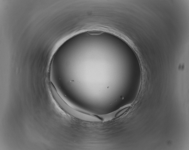 X0000112971536200908271129