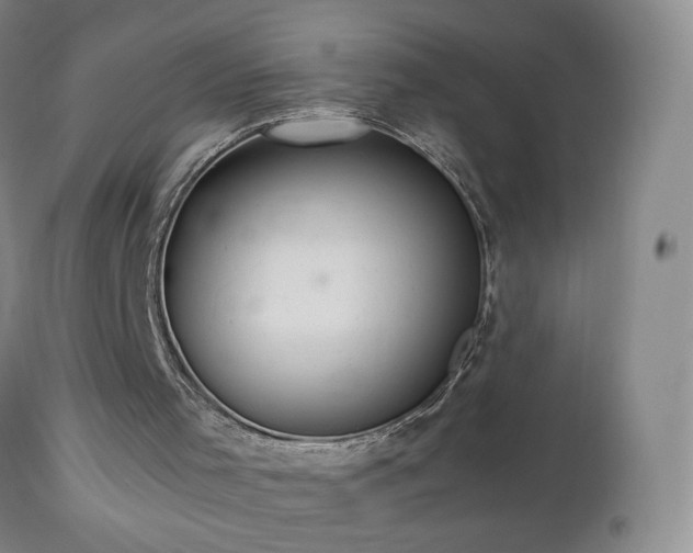 X0000112970001200909031056