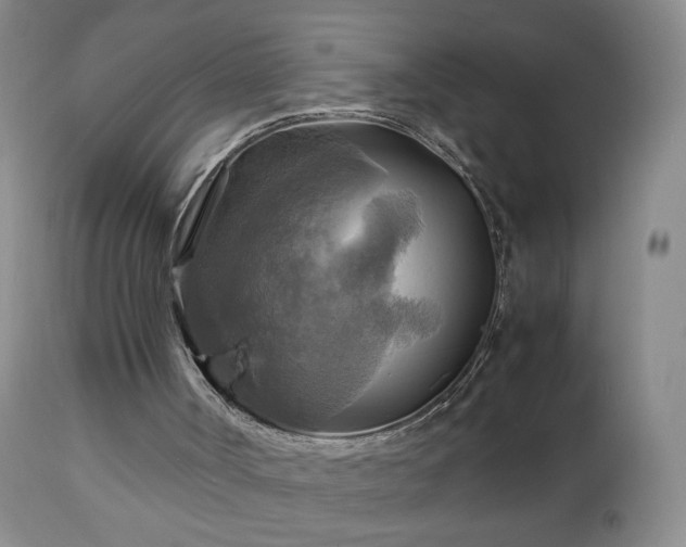 X0000112970002200909031056