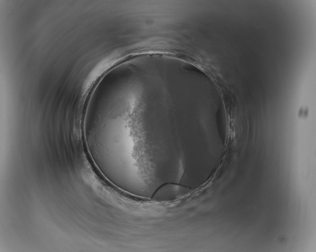 X0000112970004200909031056