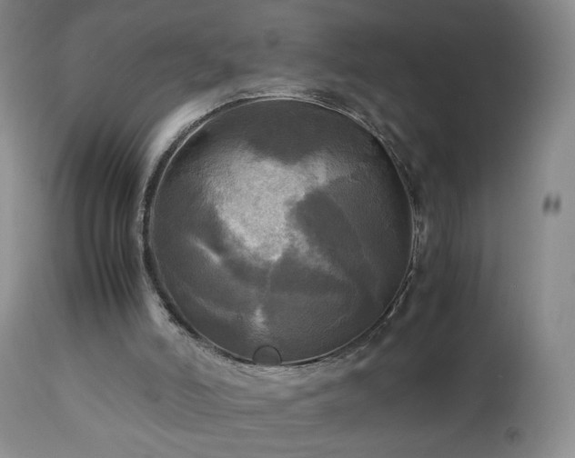 X0000112970006200909031056