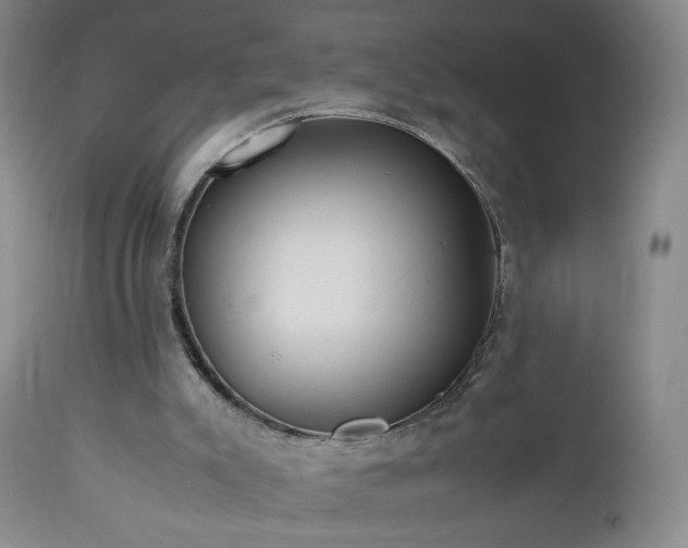 X0000112970007200909031056