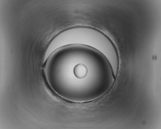 X0000112970009200909031056