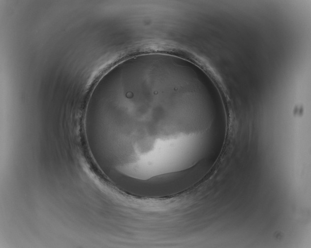 X0000112970010200909031056