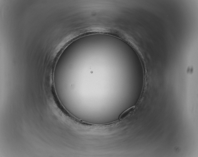 X0000112970011200909031056