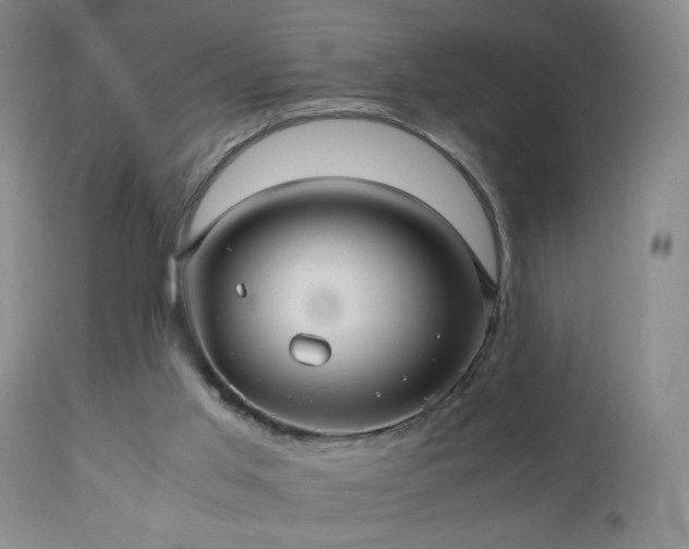 X0000112970013200909031056