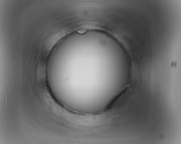 X0000112970015200909031056