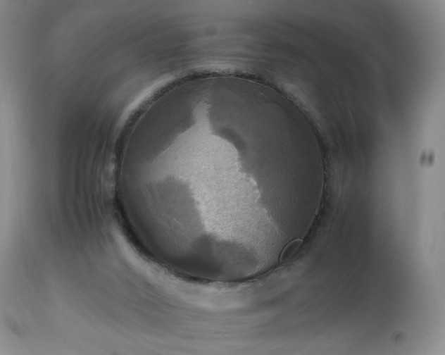 X0000112970016200909031056