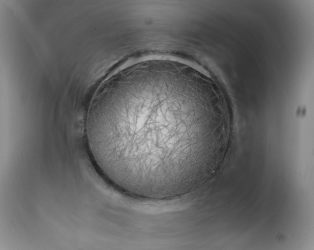 X0000112970017200909031056