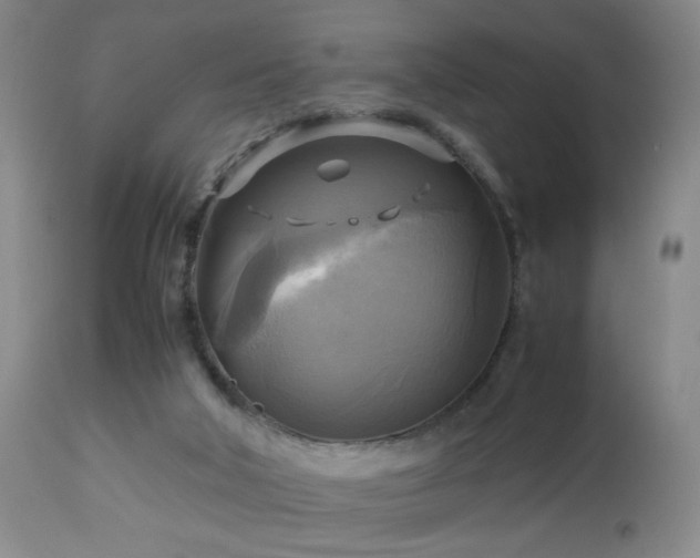 X0000112970018200909031056