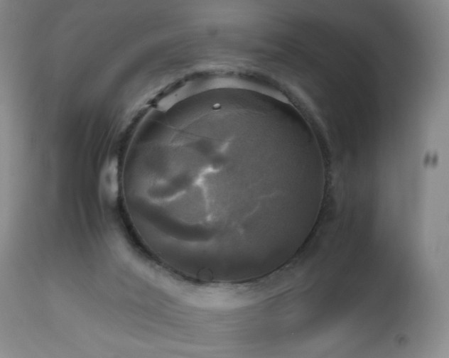 X0000112970020200909031056