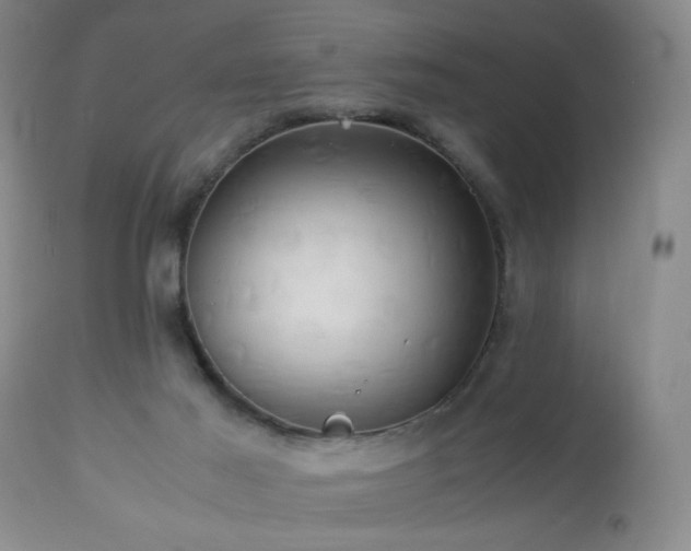 X0000112970021200909031056