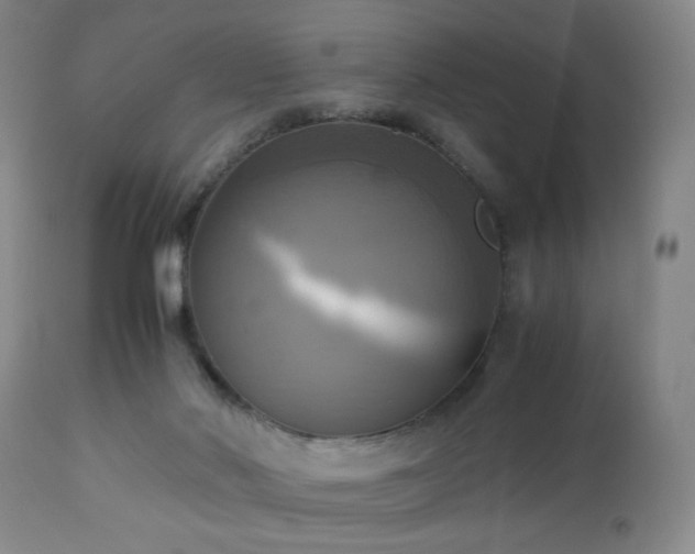 X0000112970022200909031056