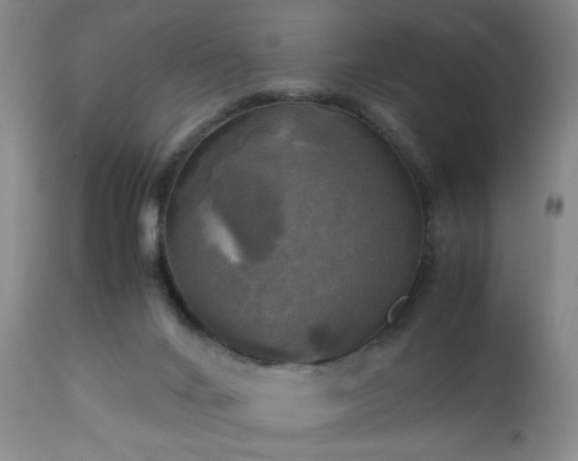 X0000112970024200909031056