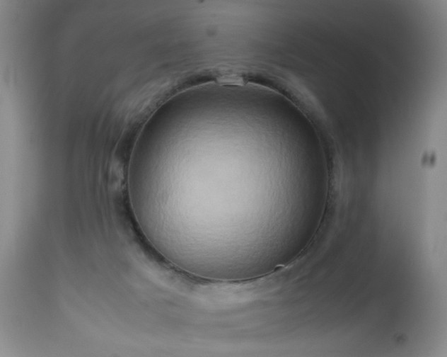 X0000112970025200909031056